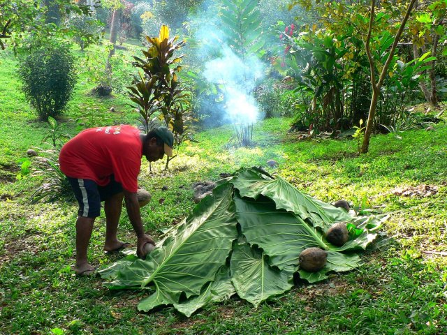 77- Preparation du lovo, Andreas leste les feuilles avec des cocos 
